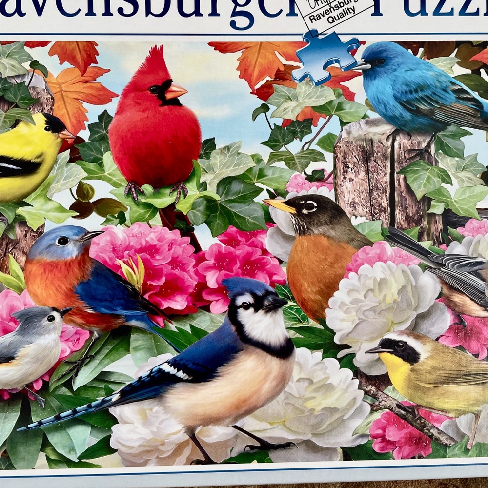 Ravensburger Various Birds 500 Puzzle Pieces
